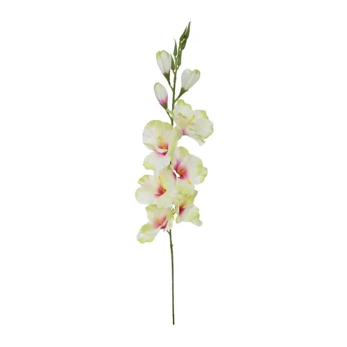 Gladiolus – vetvička 77 cm white/red K321